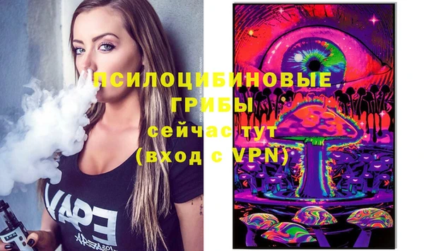 а пвп мука Армянск