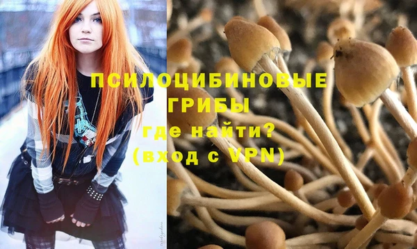 а пвп мука Армянск