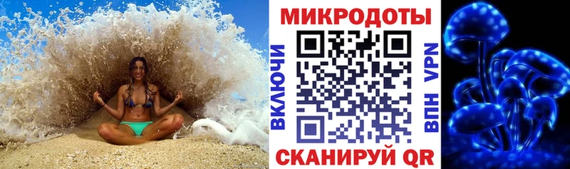 закладка  KRAKEN ССЫЛКА  Псилоцибиновые грибы MAGIC MUSHROOMS  Артём 